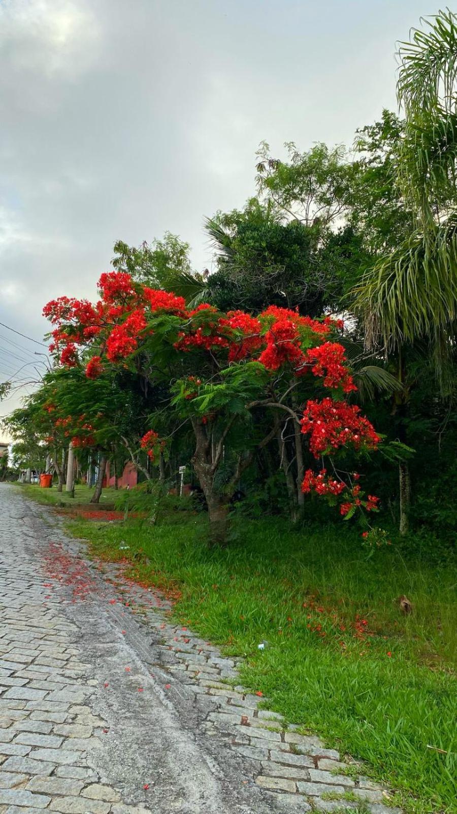 Ferradura Parque Pousada Búzios Exterior foto